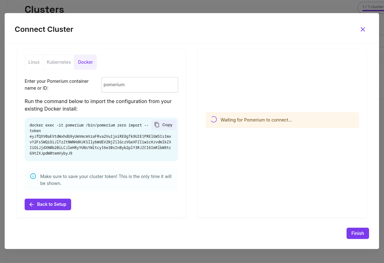 Copying the generated import command for Docker a installation